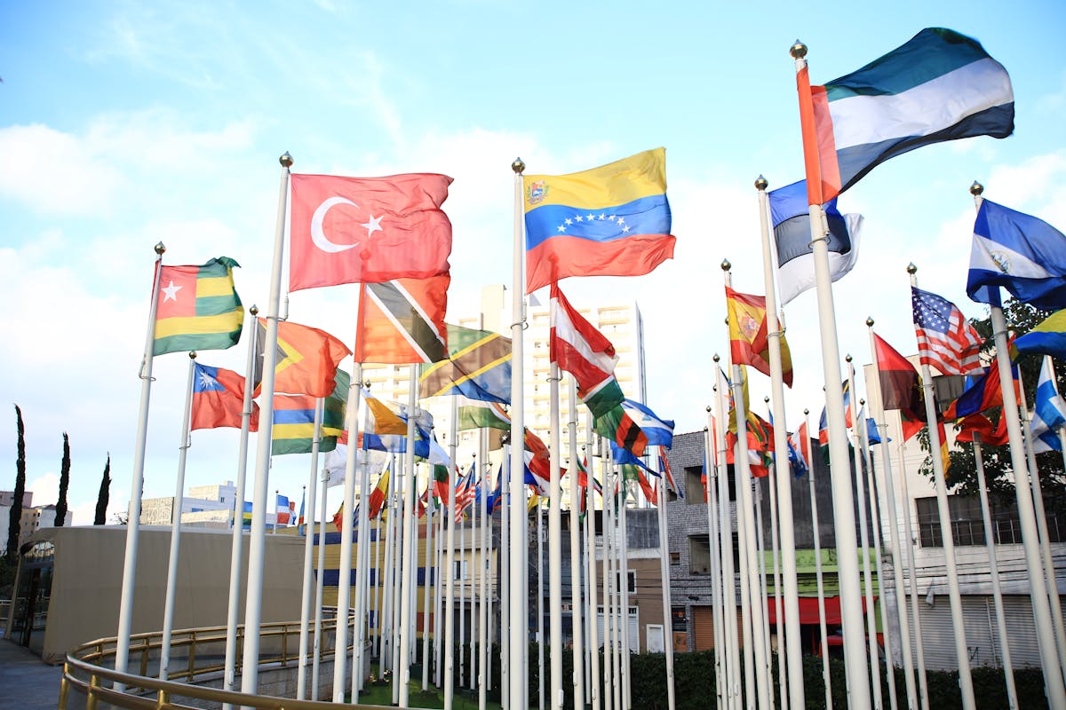 Instituciones más efectivas para combatir la corrupción en el mundo